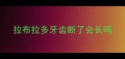 拉布拉多牙齿断了会长吗