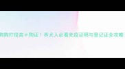 狗狗打疫苗狗证养犬人必看免疫证明与登记证全攻略