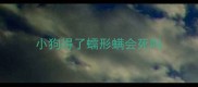 小狗得了蠕形螨会死吗