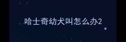 哈士奇幼犬叫怎么办