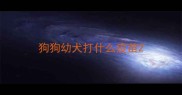 狗狗幼犬打什么疫苗