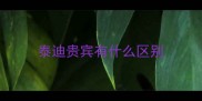泰迪贵宾有什么区别