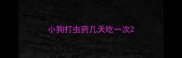 小狗打虫药几天吃一次