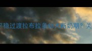 科学断奶指南如何平稳过渡拉布拉多幼犬断奶期关键步骤与注意事项全