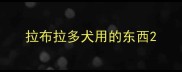 拉布拉多犬用的东西