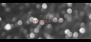 狗狗健康证多少钱