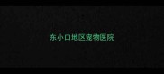 东小口地区宠物医院