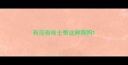 有没有哈士奇这种狗狗