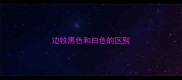 边牧黑色和白色的区别