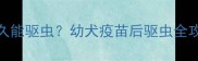 狗狗打完疫苗多久能驱虫幼犬疫苗后驱虫全攻略与科学时间表