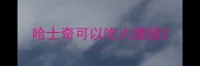 哈士奇可以吃火腿肠