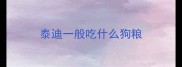 泰迪一般吃什么狗粮