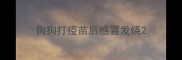 狗狗打疫苗后感冒发烧