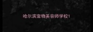 哈尔滨宠物美容师学校