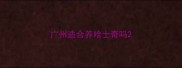 广州适合养哈士奇吗