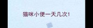 猫咪小便一天几次