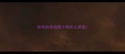 拉布拉多血统小狗怎么挑选