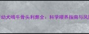 哈士奇幼犬啃牛骨头利弊全科学喂养指南与风险提示