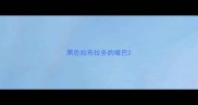黑色拉布拉多的嘴巴