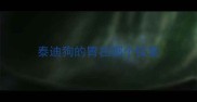 泰迪狗的胃在哪个位置