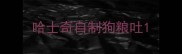 哈士奇自制狗粮吐