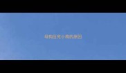 母狗压死小狗的原因