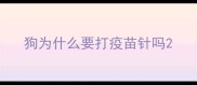 狗为什么要打疫苗针吗