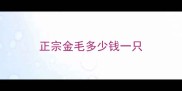 正宗金毛多少钱一只