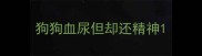 狗狗血尿但却还精神