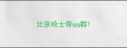 北京哈士奇qq群