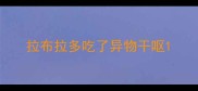 拉布拉多吃了异物干呕