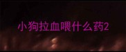 小狗拉血喂什么药