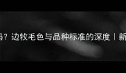 黄白色边牧纯种吗边牧毛色与品种标准的深度新手必看养狗指南