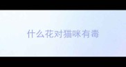 什么花对猫咪有毒