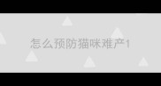 怎么预防猫咪难产