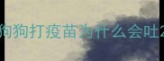 狗狗打疫苗为什么会吐