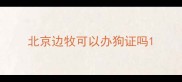 北京边牧可以办狗证吗