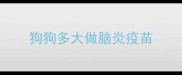 狗狗多大做脑炎疫苗