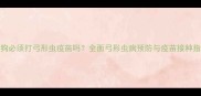 小狗必须打弓形虫疫苗吗全面弓形虫病预防与疫苗接种指南