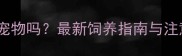 花鼠能当宠物吗最新饲养指南与注意事项全