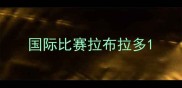 国际比赛拉布拉多