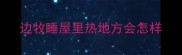边牧睡屋里热地方会怎样