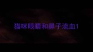猫咪眼睛和鼻子流血