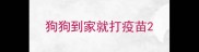 狗狗到家就打疫苗