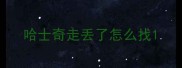 哈士奇走丢了怎么找