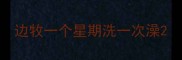 边牧一个星期洗一次澡