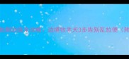 成年边牧如厕训练全攻略边境牧羊犬3步告别乱拉便附实用技巧