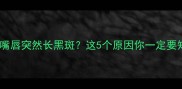 救命猫咪嘴唇突然长黑斑这5个原因你一定要知道