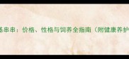 边牧柯基串串价格性格与饲养全指南附健康养护秘籍