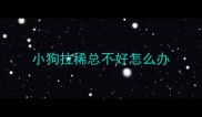 小狗拉稀总不好怎么办